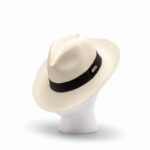 fedora-premium-2