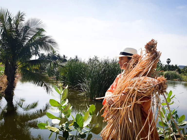 From Villain to Vogue – The Rise of Water Hyacinth